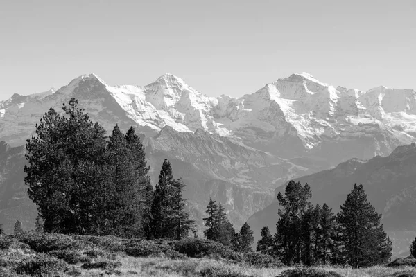 Őszi alpesi táj a Niederhorn, Svájc-Jungfrau, Eiger és Moench a Berni-felvidéken a háttérben — Stock Fotó