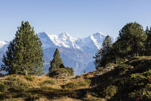 Jesienne alpejski krajobraz na Niederhorn w Oberlandzie Berneńskim w Szwajcarii z Eiger, Moench i Jungfrau w tle — Zdjęcie stockowe