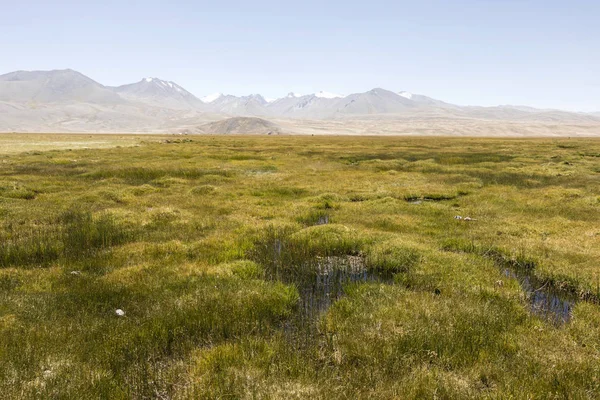 Landscape Pamir Mountains Alichur Tajikistan — Stock Photo, Image