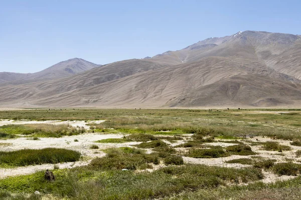 Τοπίο Των Βουνών Παμίρ Κοντά Στο Bulunkul Στο Τατζικιστάν — Φωτογραφία Αρχείου