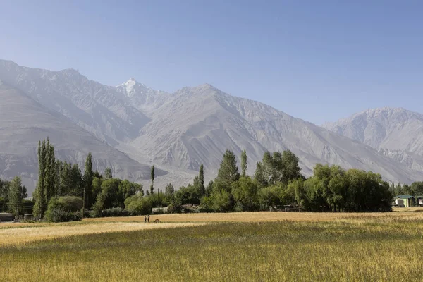 Termékeny Wakhan Völgy Közelében Vrang Tádzsikisztán Hegyek Háttérben Hindu Kush — Stock Fotó