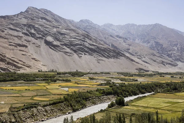 Родючий Вахан Долини Річку Пяндж Біля Vrang Таджикистані Гори Задньому — стокове фото