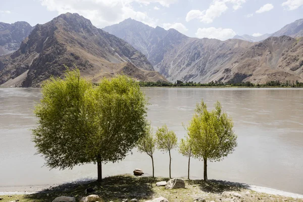 Ποταμός Συνόρων Panj Στην Κοιλάδα Του Wakhan Τατζικιστάν Πρώτο Πλάνο — Φωτογραφία Αρχείου