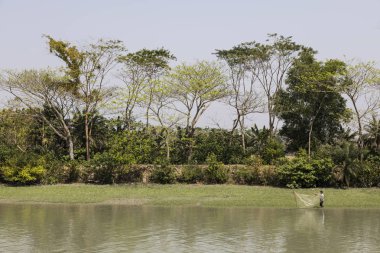 Morrelganj, Bangladeş, 27 Şubat 2017: Balıkçı net balık yakalamak için nehir kıyısındaki atar..