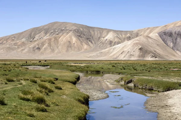 Kleiner Fluss in Bulunkul im Pamirgebirge in Tadschikistan — Stockfoto