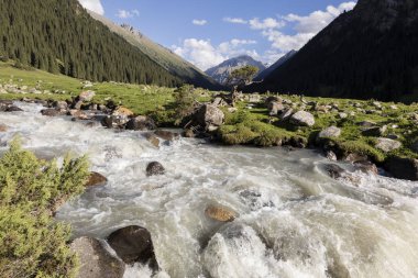 Valley of Altyn-Arashan in the late afternoon with a creek in the foreground in Kyrgyzstan clipart