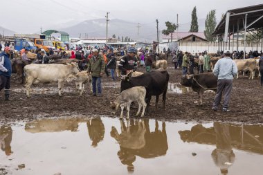 Karakol, Kırgızistan, 13 Ağustos 2018: Haftalık Pazar hayvan pazarı Karakol City Gölü Issyk-Kul Kırgızistan'daki doğu ucuna yakın. Orta Asya'daki en büyük hayvan pazarlarından biri.