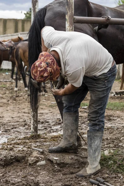 Karakol, Kirguistán, 13 de agosto de 2018: Farrier en el mercado semanal de animales en Karakol cambia las herraduras de los caballos — Foto de Stock