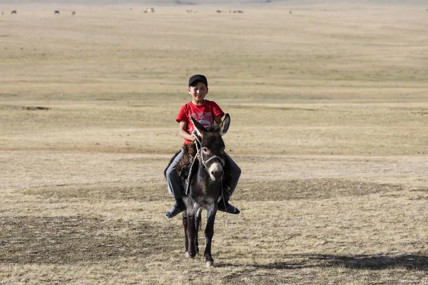 Song Kul, Kyrgyzstán, 8 srpen 2018: Chlapec v červené tričko jezdí osel prostřednictvím stepi u jezera Song Kul v Kyrgyzstánu — Stock fotografie