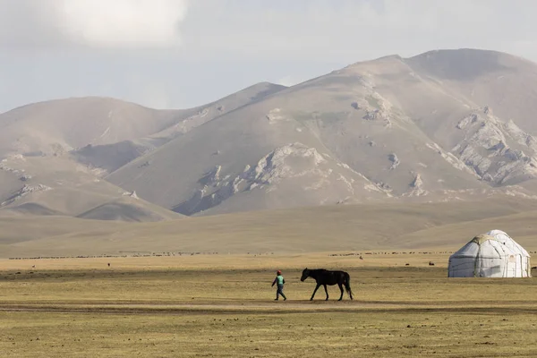 Song Kul, Kirguistán, 8 de agosto de 2018: Un niño lleva a un caballo en una correa a través de la estepa en el lago Song Kul en Kirguistán —  Fotos de Stock