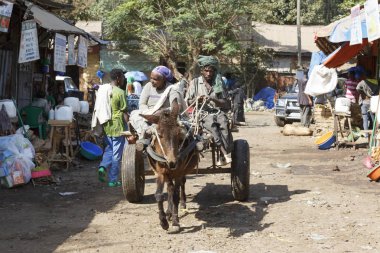 Bahir Dar, Etiyopya, Şubat 14 2015: eski bir çift bir pazar aracılığıyla eşek taşıma sürücüler