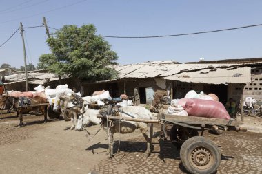 Bahir Dar, Etiyopya, 14 Şubat 2015: Eşek arabası standları bir