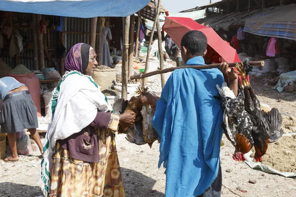 Bahir dar, Etiopie, únor 14 2015: žena nakupuje na trhu kuře od dealera — Stock fotografie