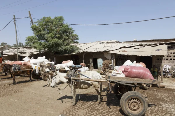 Bahir Dar, Etiópia, 14 de fevereiro de 2015: Carruagens de burro — Fotografia de Stock