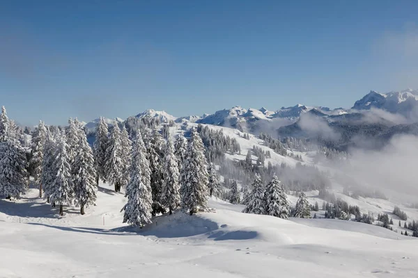 Fantastic Winter Landscape Rotenflue Central Switzerland — Stock Photo, Image