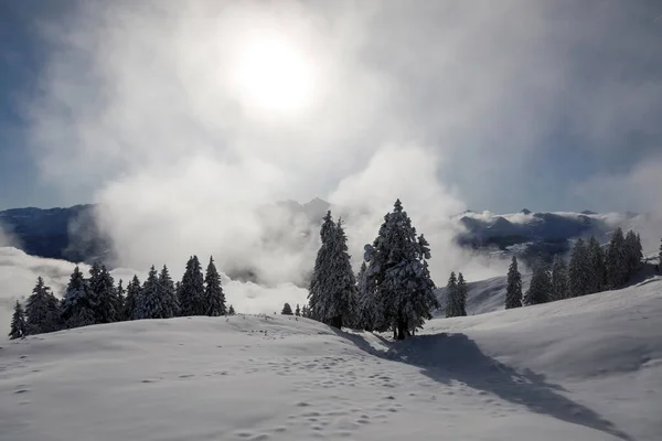 Paysage Hivernal Magique Avec Brouillard Levant Soleil Contre Lumière Suisse — Photo