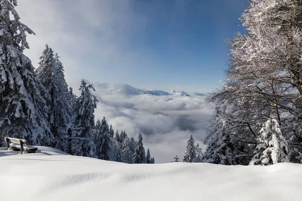 Vue Rotenflue Dans Canton Schwyz Mer Brouillard Dans Vallée Suisse — Photo