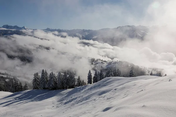 Winter Landscape Fog Ibergeregg Central Switzerland — Stock Photo, Image
