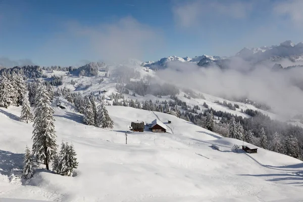 Winter Landscape Fog Ibergeregg Central Switzerland — Stock Photo, Image