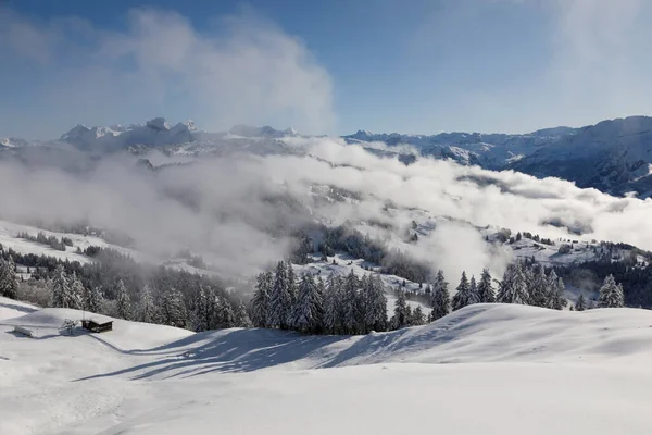 Paesaggio Invernale Con Nebbia Verso Ibergeregg Nella Svizzera Centrale — Foto Stock
