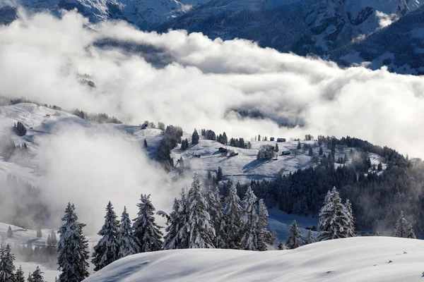 Winter Landscape Fog Ibergeregg Moutathal Central Switzerland — Stock Photo, Image