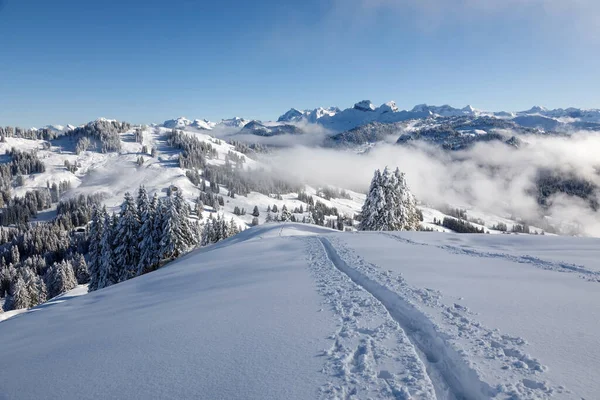 Winter Hiking Trail Rotenflue Canton Schwyz Central Switzerland — Stock Photo, Image