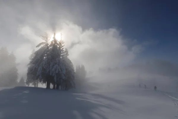 Humeur Mystique Brumeuse Avec Soleil Contre Lumière Lors Une Journée — Photo