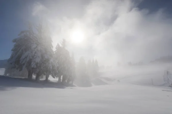 Humeur Mystique Brumeuse Avec Soleil Contre Lumière Lors Une Journée — Photo