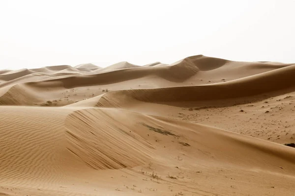 Gyönyörű Táj Homokdűnékkel Szaúd Arábiában Fény Ellen — Stock Fotó