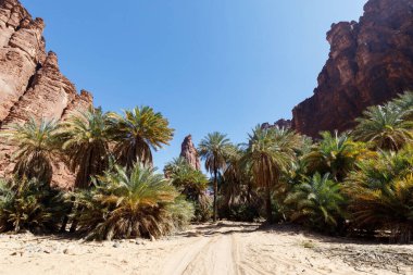 Wadi Disah (ayrıca Wadi Qaraqir olarak da bilinir), Suudi Arabistan 'ın Tabuk kentinin 80 kilometre güneyinde yer alan ve Jebel Katarından geçen 15 kilometre uzunluğunda bir kanyondur.