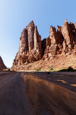Wadi Disah (ayrıca Wadi Qaraqir olarak da bilinir), Suudi Arabistan 'ın Tabuk kentinin 80 kilometre güneyinde yer alan ve Jebel Katarından geçen 15 kilometre uzunluğunda bir kanyondur.