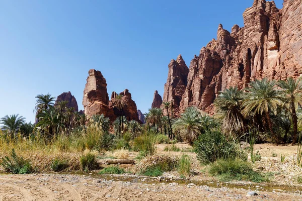 Wadi Disah (ayrıca Wadi Qaraqir olarak da bilinir), Suudi Arabistan 'ın Tabuk kentinin 80 kilometre güneyinde yer alan ve Jebel Katarından geçen 15 kilometre uzunluğunda bir kanyondur.