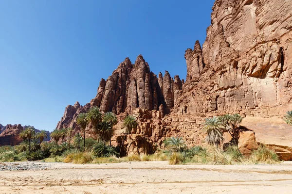 와디보라 Wadi Disah Wadi Qaraqir 관통하는 킬로미터 길이의 협곡으로 사우디아라비아 — 스톡 사진