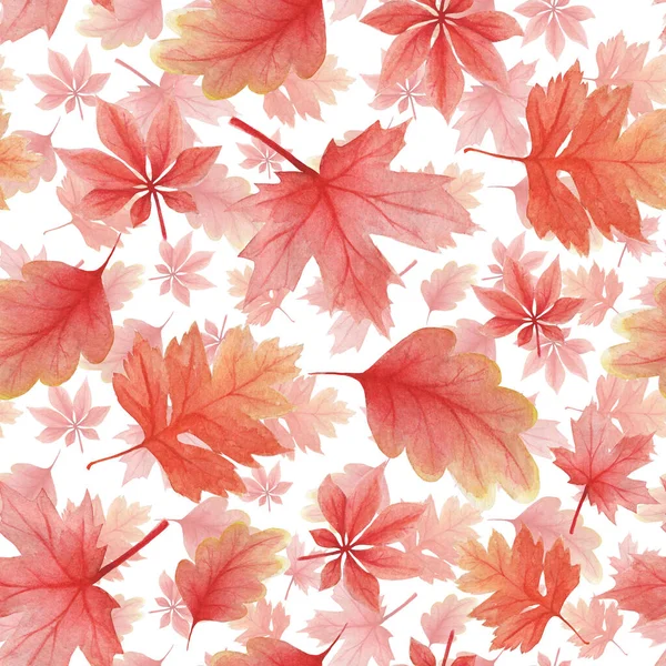 Patrón delicado en estilo acuarela. Fondo de hojas de roble de otoño — Foto de Stock