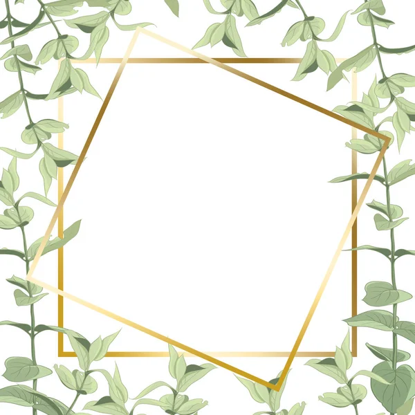 Нежная рамка из листьев и веток, нарисованных цифровой графикой. Зеленые листья на белом фоне . — стоковое фото