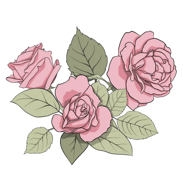 Omposición Delicadas Rosas Rosadas Hojas Verdes Ilustración Para Crear Tarjetas — Foto de Stock