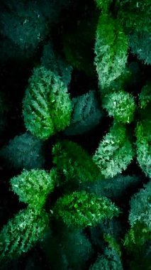 Yeşil yapraklar parçalanmış mozaik üçgen dokular, soyut geometrik sanat eserleri canlı, yaratıcı güzellikleri resmediyor.