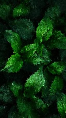 Parçalanmış yeşil yapraklı bitkiler üçgen mozaik dokular, soyut geometrik sanat eserleri canlı doğal ilhamı yansıtıyor.