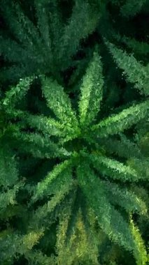 Yeşil kenevir yaprakları özel bir geometrik tasarım içinde keskin soyut sanat eserleri ile parçalanmış mozaik bir bileşim olarak ifade edilir