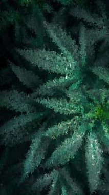 Yeşil marihuana bitkilerinin özel geometrik deseni soyut doğal dokularla ve keskin parçalı mozaik çizimleriyle resmedilmiştir.