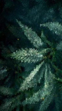 Yeşil marihuana bitkileri soyut geometrik çizim tasarımı ve keskin dokuları ile özel parçalanmış mozaik formda temsil edilir.