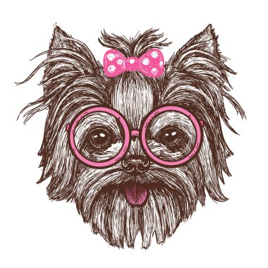 Bir elle çizilmiş komik moda Yorkshire terrier köpek kız bardaklarda - hisse senedi vektör vektör çizim