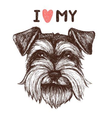 Benim schnauzer seviyorum. Elle çizilmiş köpek portre ile vektör kroki çizim. Tebrik kartı, t-shirt tasarım, yazdırma veya poster için kullanılabilir
