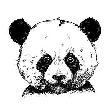 Sevimli panda vektör Illustration. Elle çizilmiş grafik, çocuk Yazdır.