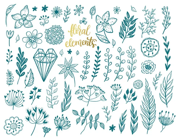 Conjunto Diferentes Elementos Diseño Floral Vectorial Flores Hojas Almuerzos Hierbas — Vector de stock