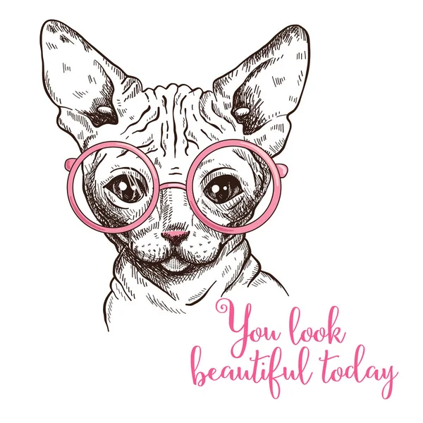 Illustration Dessinée Main Chat Sphynx Dans Des Lunettes Illustration Vectorielle — Image vectorielle