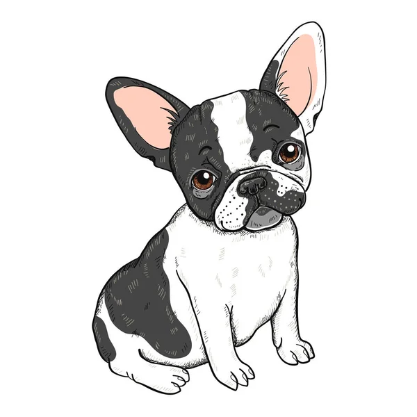 Vector Illustration Cute Cartoon French Bulldog Isolated White Background — Stock Vector