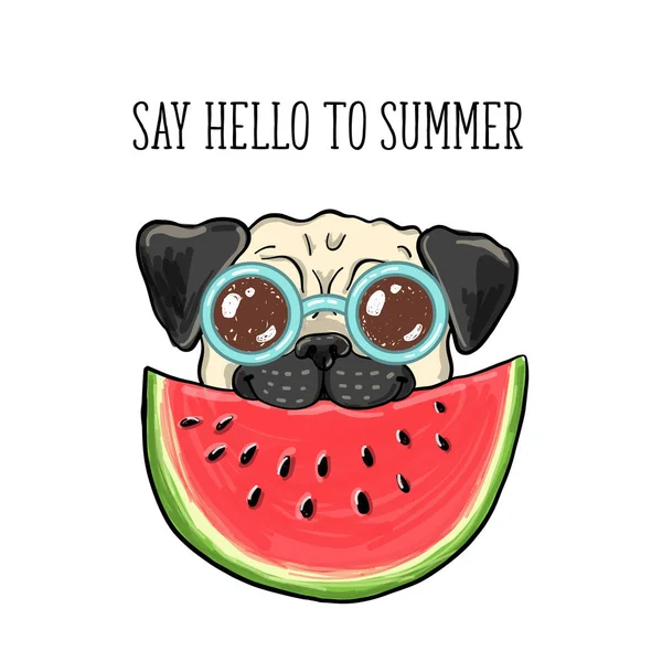 Diz Olá Verão Ilustração Vetorial Pug Feliz Óculos Comendo Melancia — Vetor de Stock