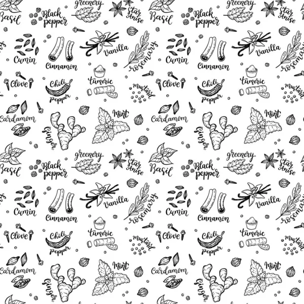 Seamless Vector Pattern Background Hand Drawn Spices Herbs Doodles — Stock Vector