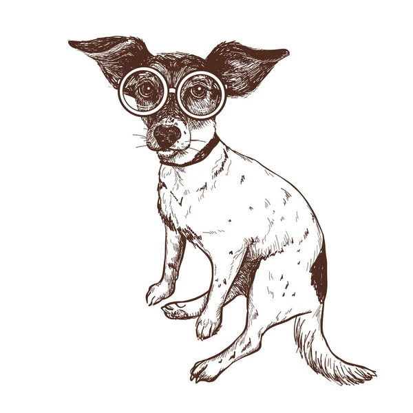 Vektoros Illusztráció Egy Kézzel Rajzolt Jack Russell Terrier Kutya Szemüveg — Stock Vector